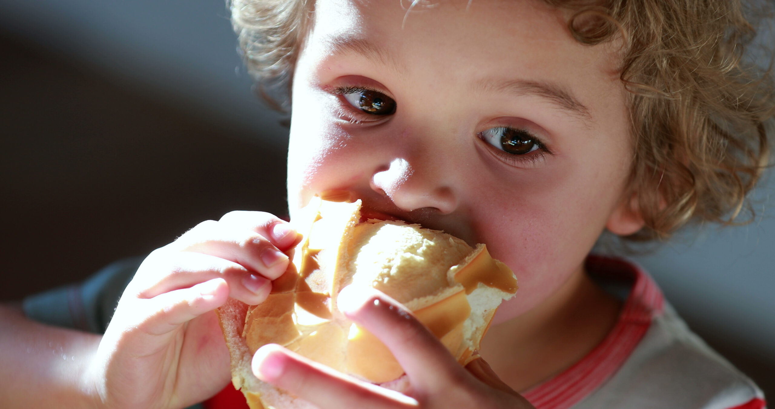 young boy eating sandwich